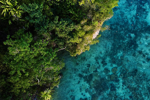 Die Wunder der Natur: Die Togean-Inseln - ein verborgenes Paradies in Indonesien