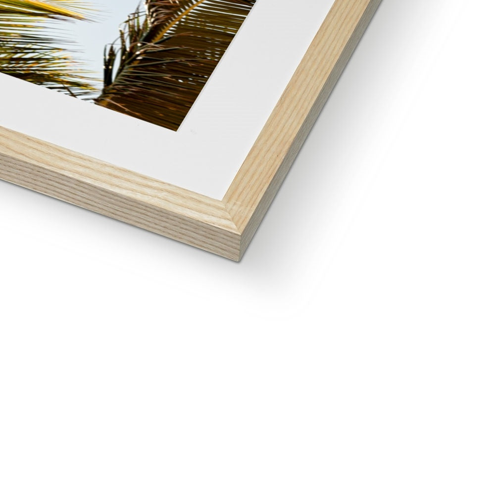 Tropical X  | Framed & Mounted Print