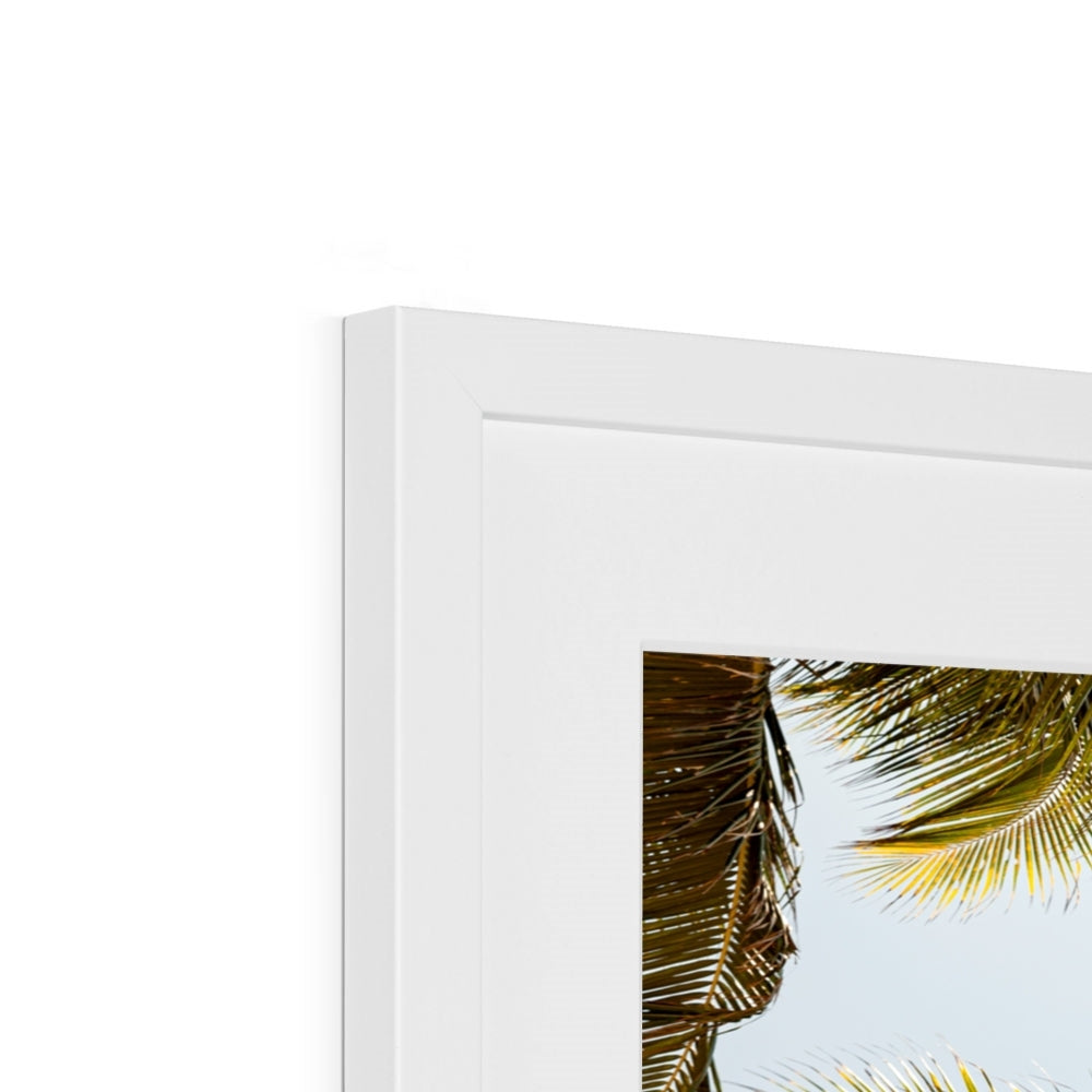 Tropical X  | Framed & Mounted Print