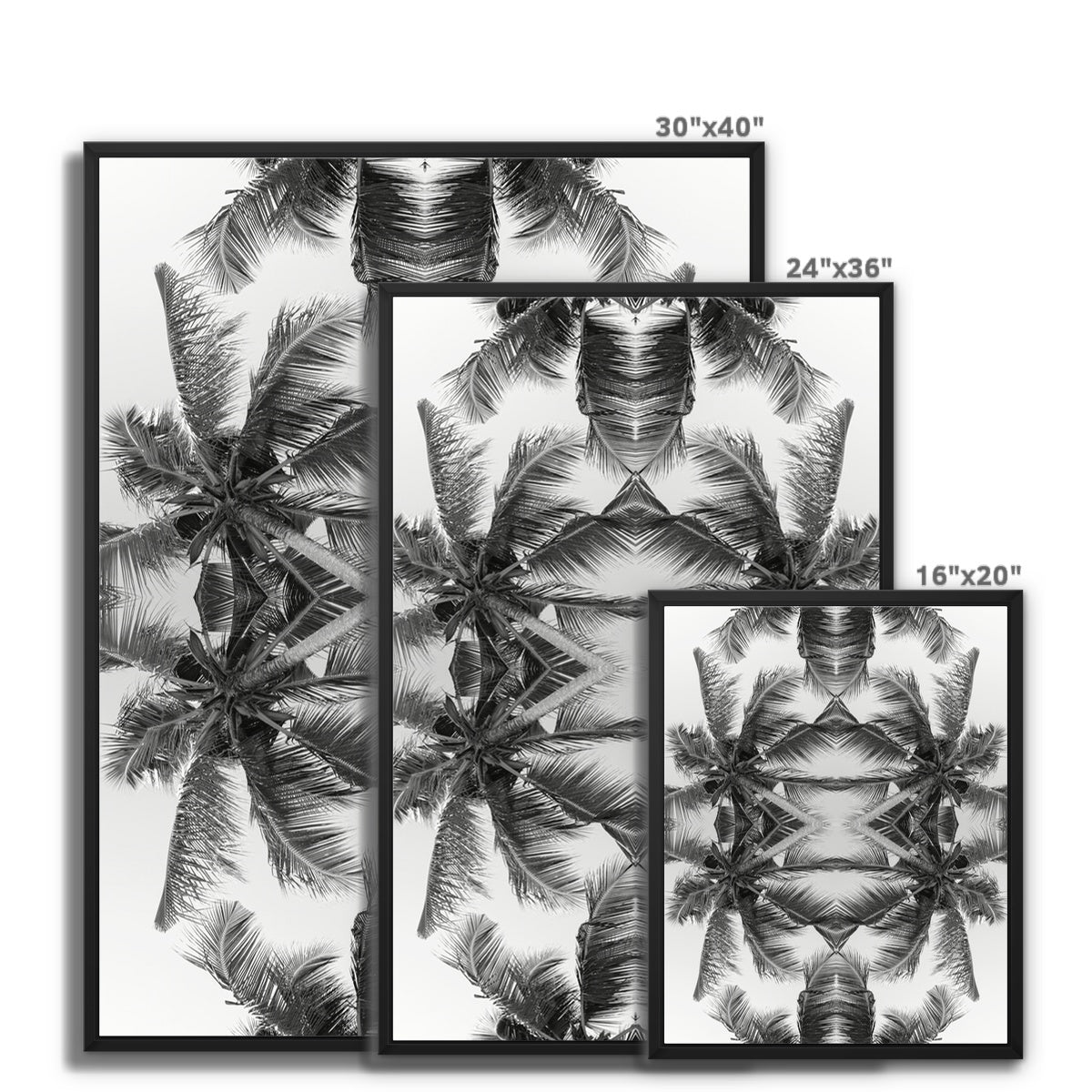 Tropical Warrior (mono) | Gerahmte Leinwand