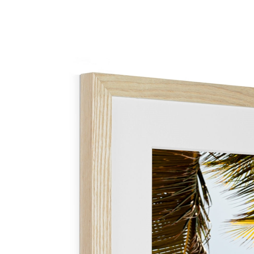 Tropical X  | Framed & Mounted Print