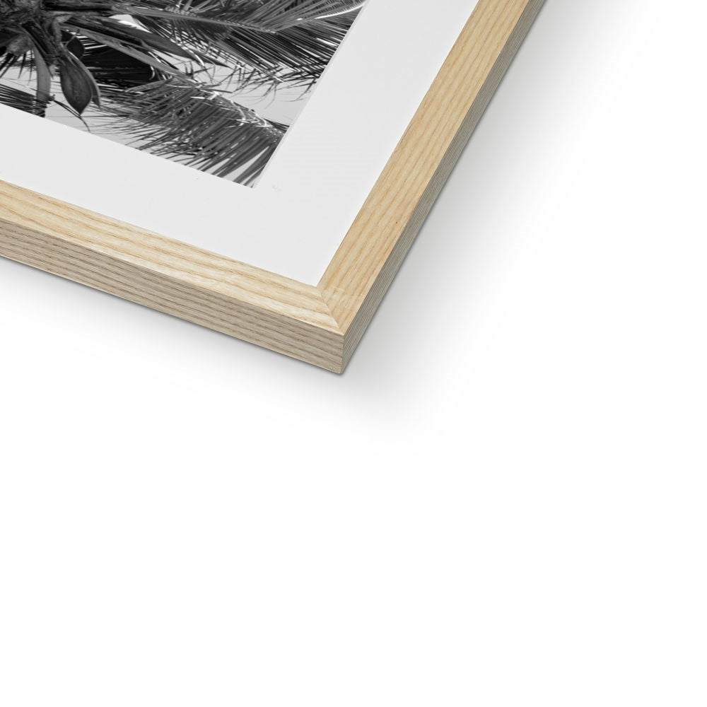 Tropical Flower (mono) | Framed & Mounted Print