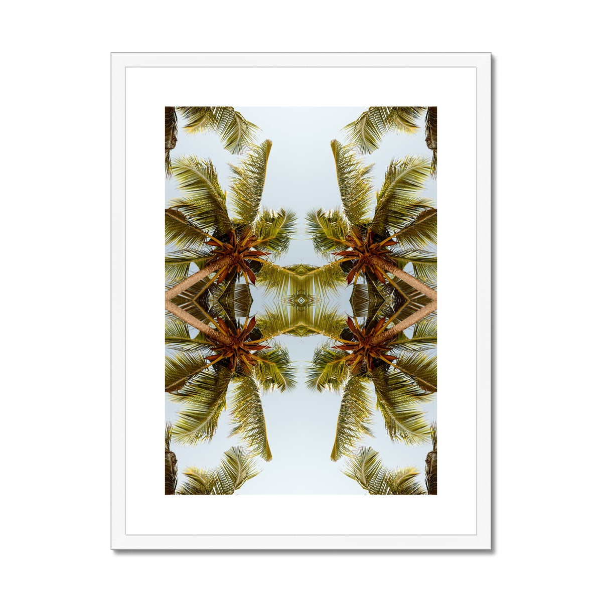 Tropical X  | Framed & Mounted Print