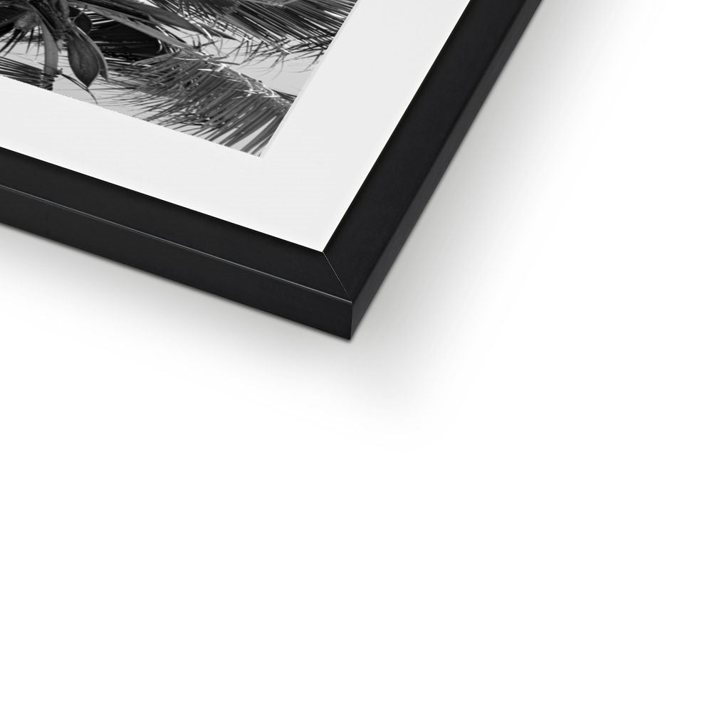 Tropical Flower (mono) | Framed & Mounted Print