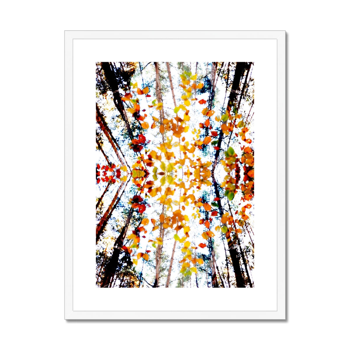 Konfetti im Wald | Framed & Mounted Print