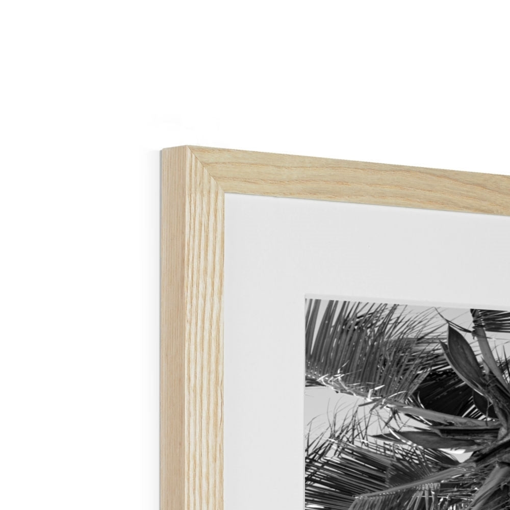 Tropical Flower (mono) | Framed & Mounted Print