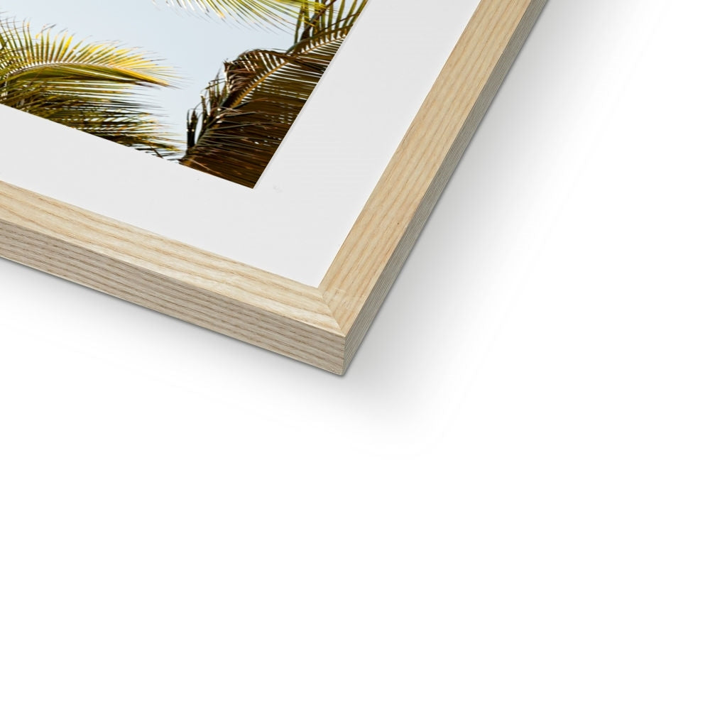 Tropical X  | Framed & Mounted Print