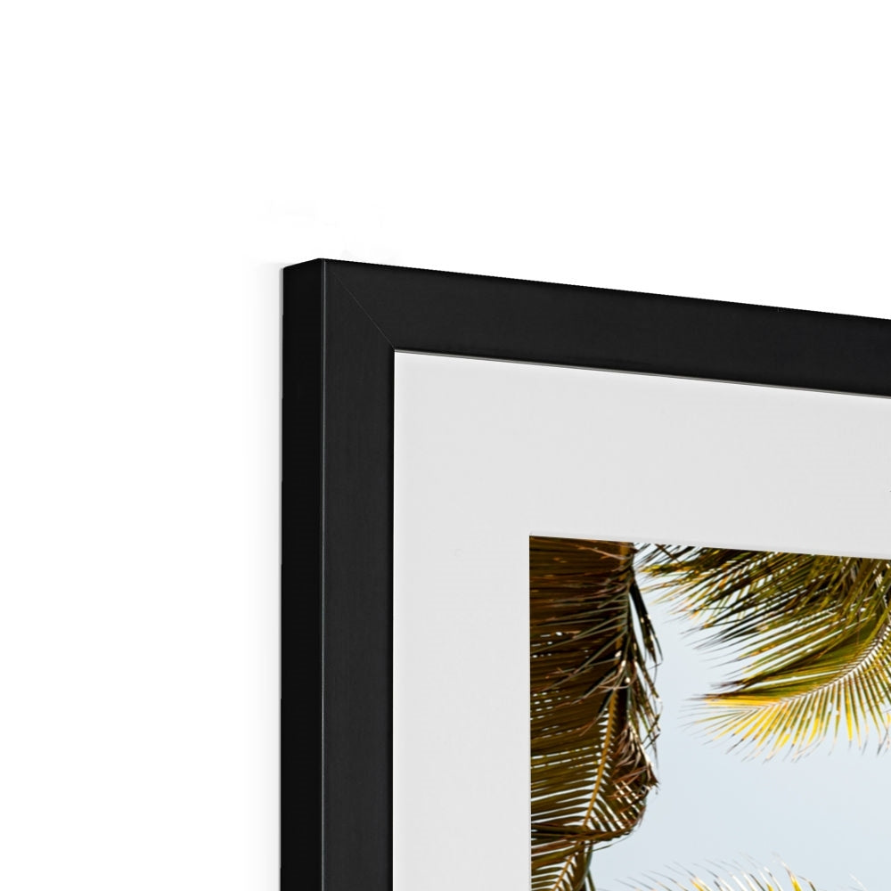 Tropical X  | Framed & Mounted Print