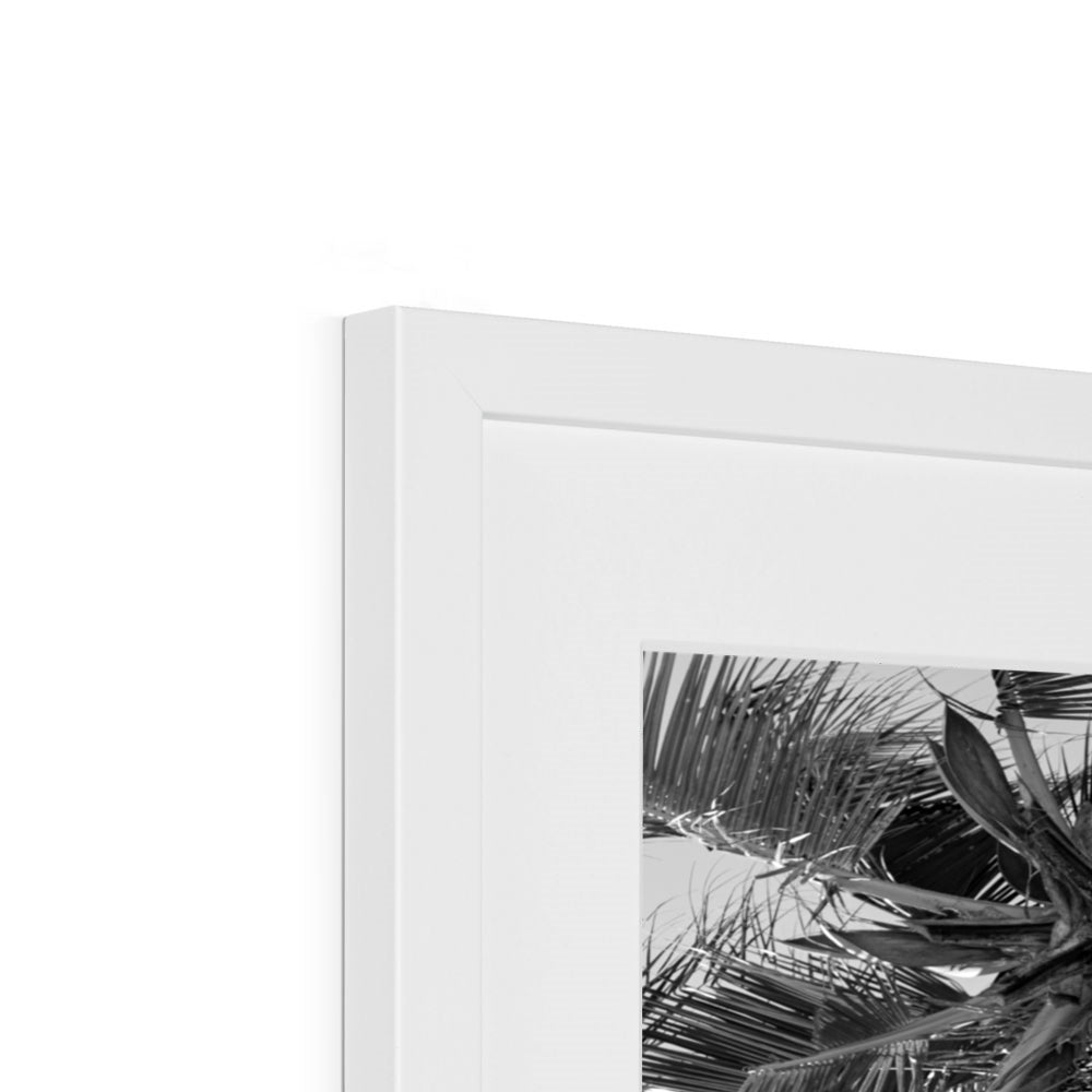 Tropical Flower (mono) | Framed & Mounted Print