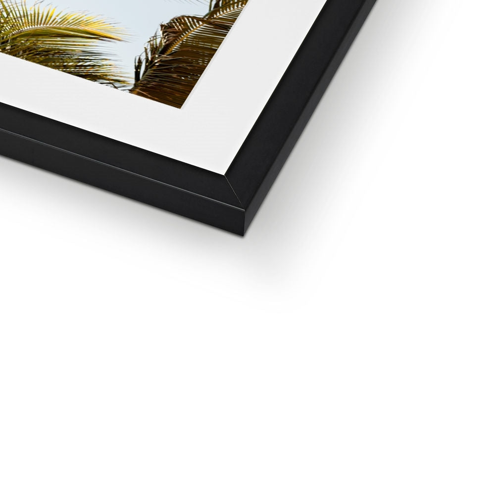 Tropical X  | Framed & Mounted Print