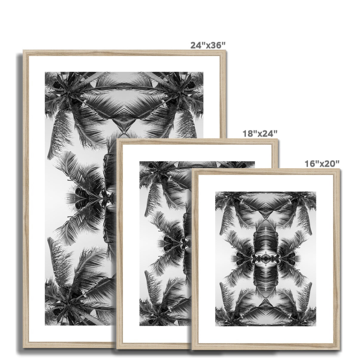 Tropical Flower (mono) | Framed & Mounted Print