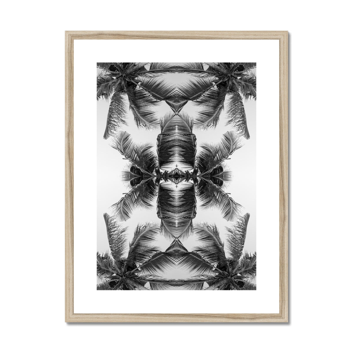 Tropical Flower (mono) | Framed & Mounted Print