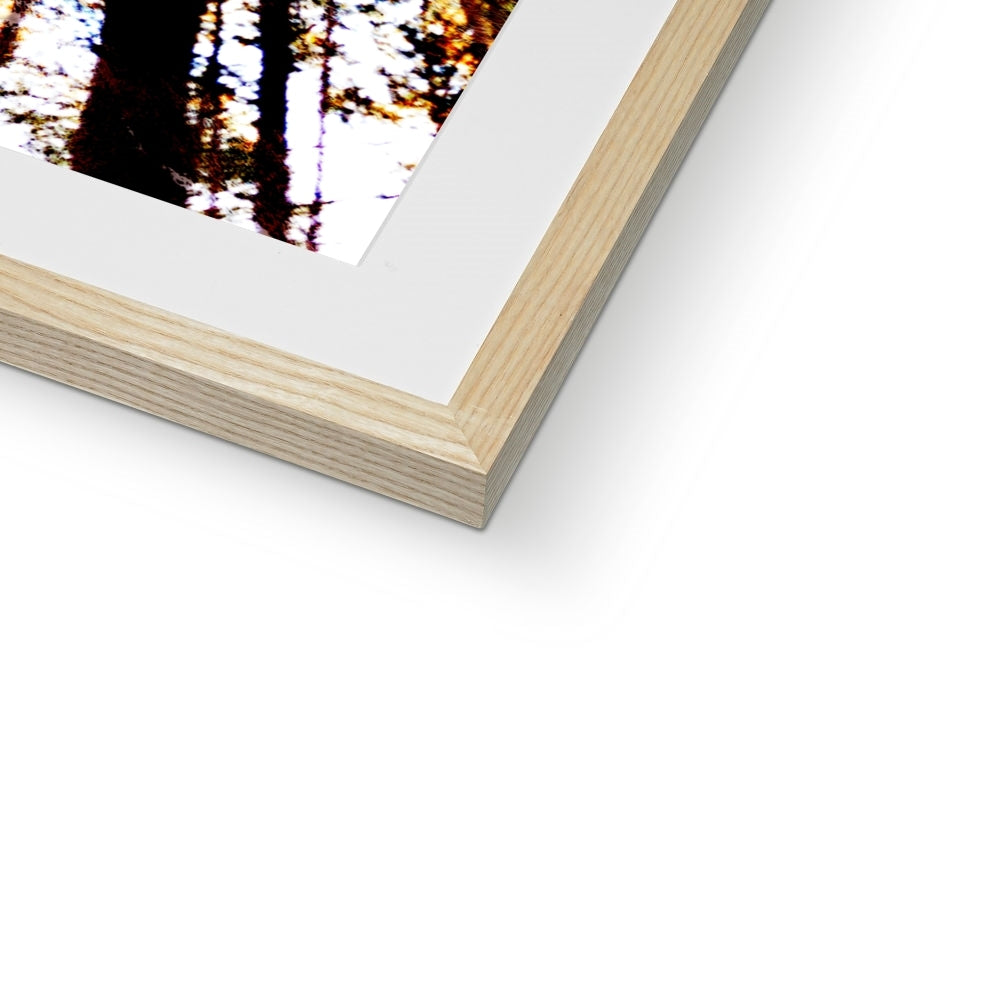 Konfetti im Wald | Framed & Mounted Print