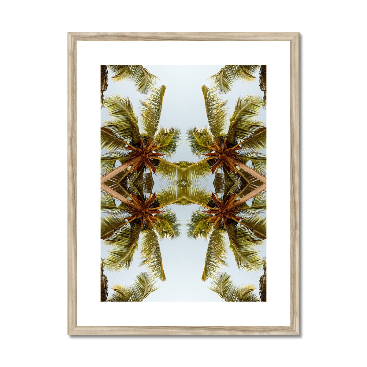 Tropical X  | Framed & Mounted Print