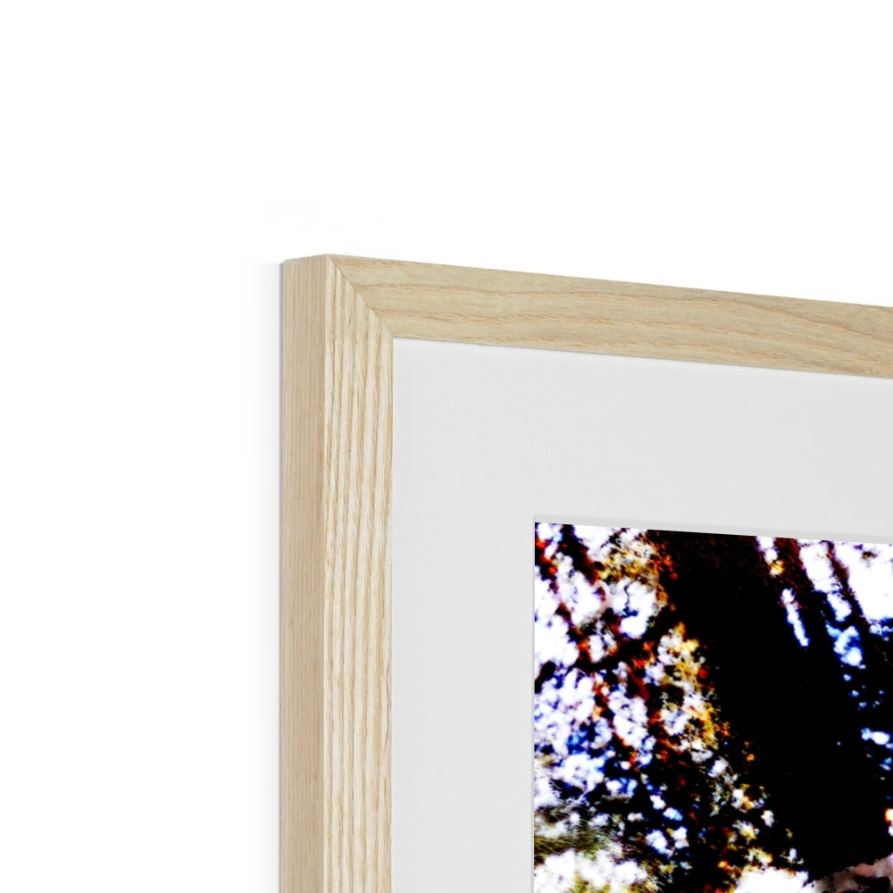 Konfetti im Wald | Framed & Mounted Print