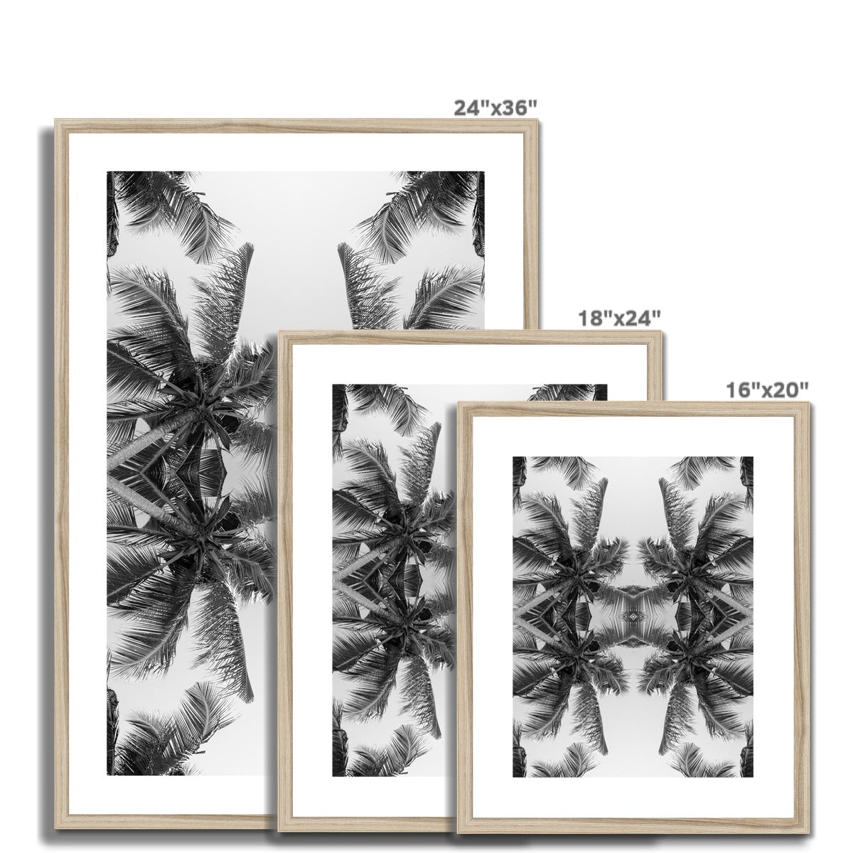 Tropical X (mono) | Framed & Mounted Print