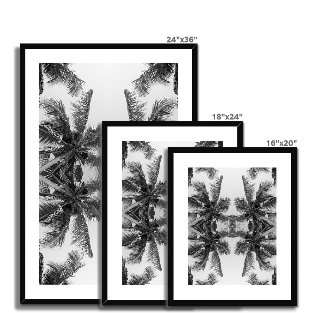 Tropical X (mono) | Framed & Mounted Print