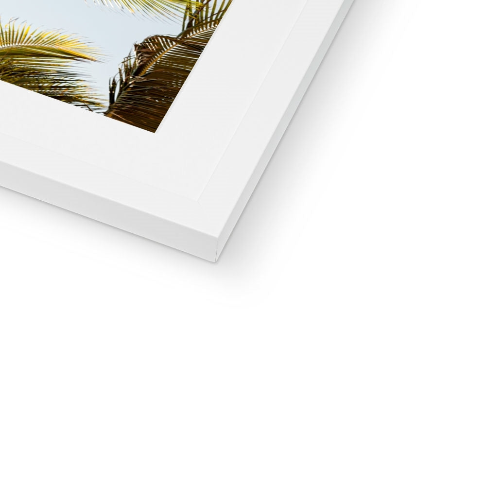 Tropical X  | Framed & Mounted Print