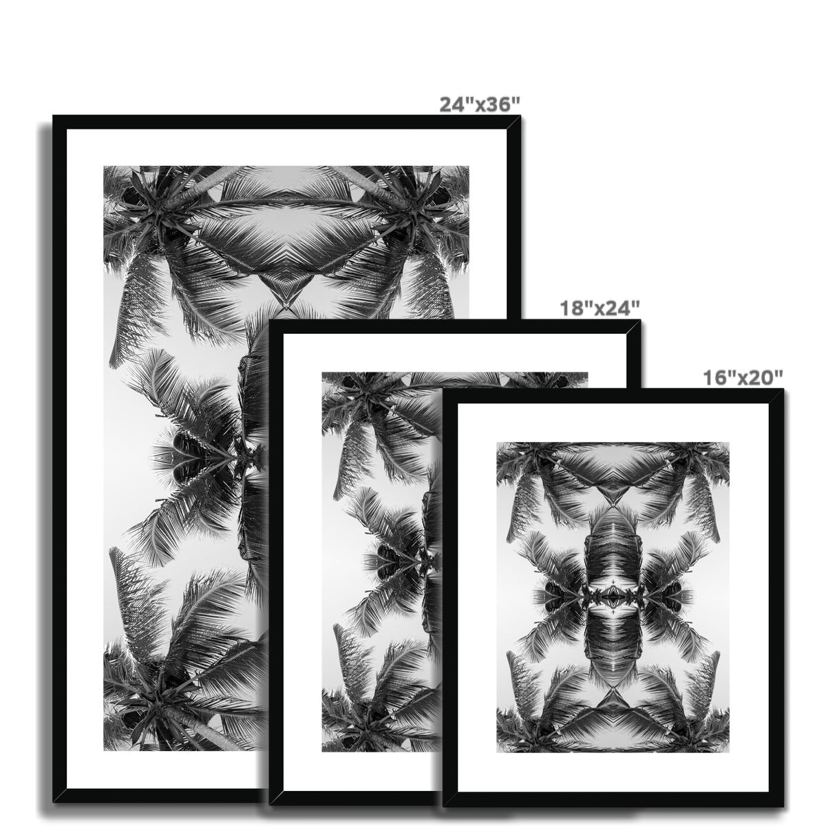 Tropical Flower (mono) | Framed & Mounted Print