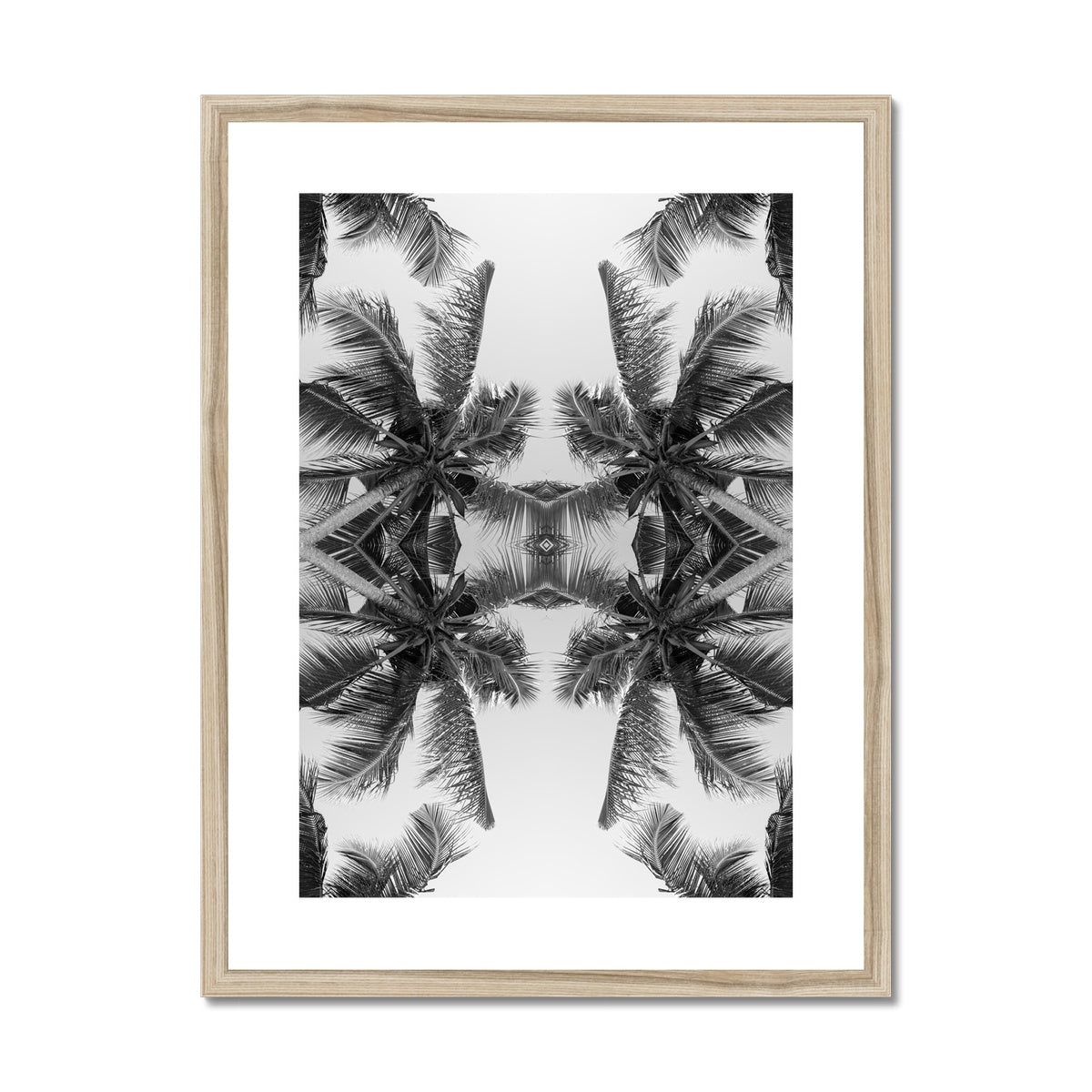 Tropical X (mono) | Framed & Mounted Print