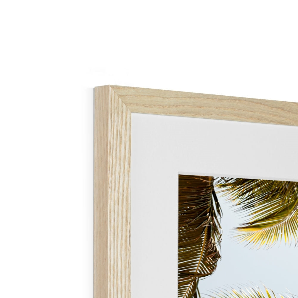 Tropical X  | Framed & Mounted Print