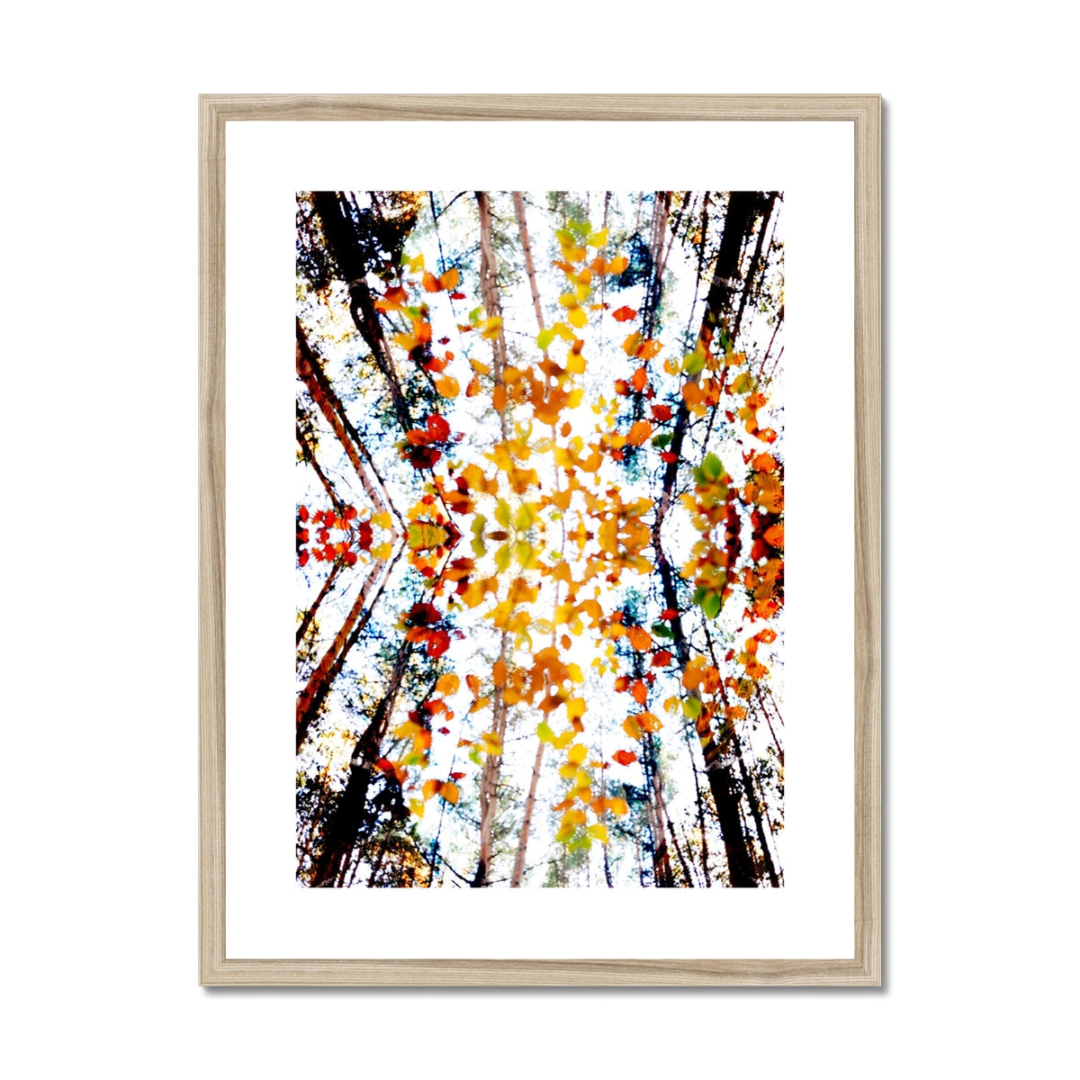 Konfetti im Wald | Framed & Mounted Print