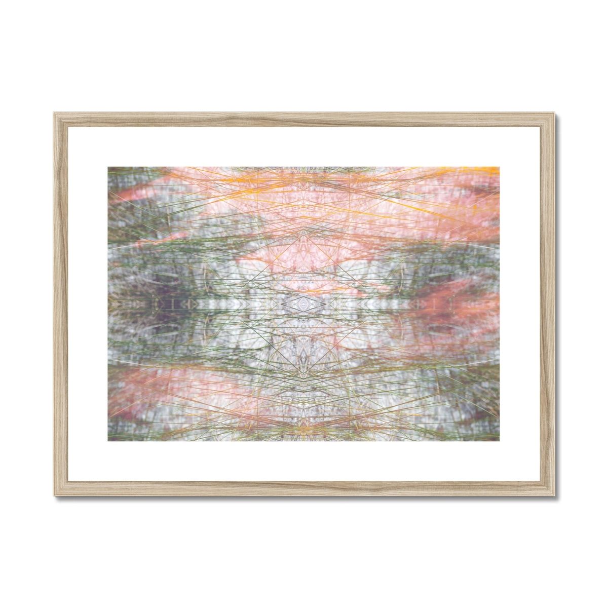 Grasshopper | Framed & Mounted Print